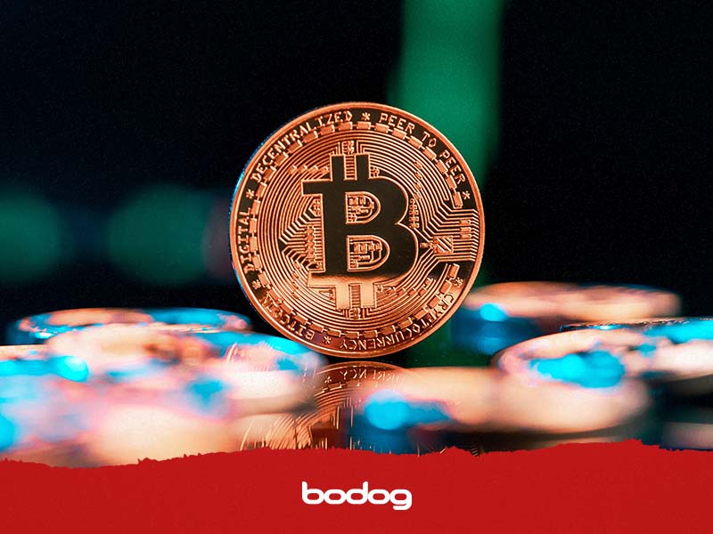 guia bitcoin criptomoeda online