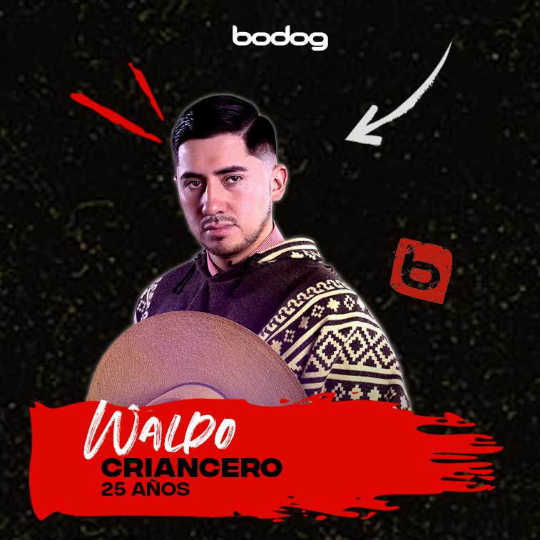 Gran Hermano Chile Waldo Villarroel online