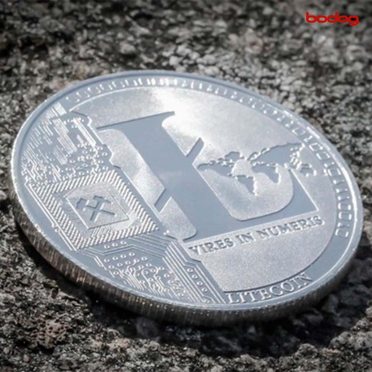moneda litecoin apostar