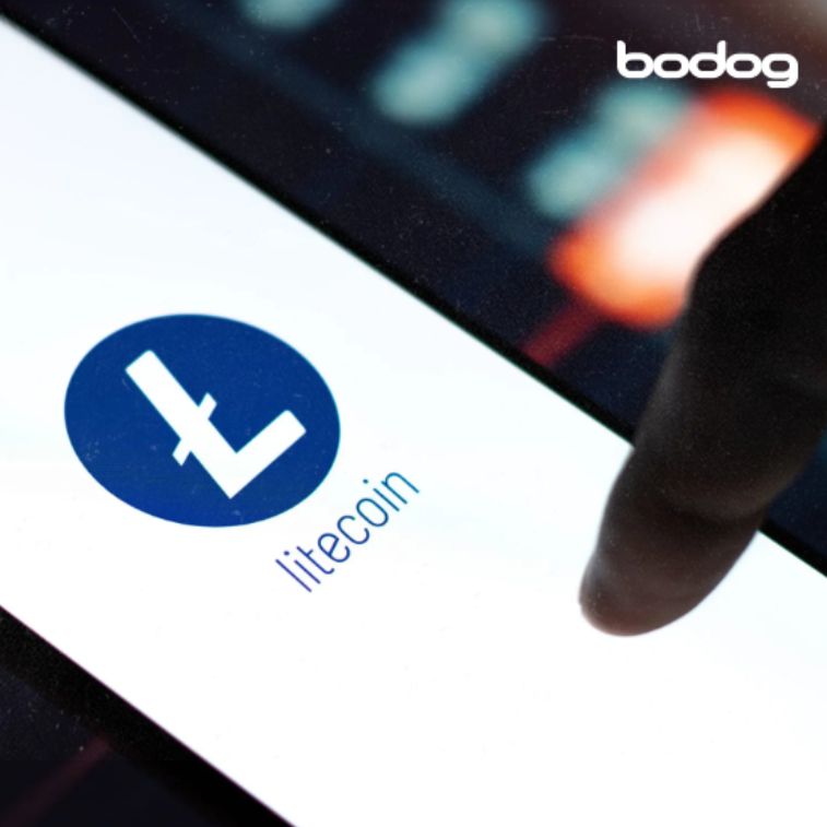 wallet litecoin grafico online